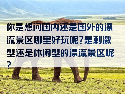 你是想问国内还是国外的漂流景区哪里好玩呢？是刺激型还是休闲型的漂流景区呢？