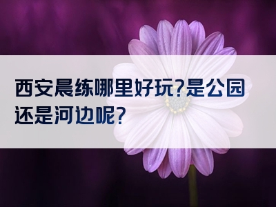 西安晨练哪里好玩？是公园还是河边呢？