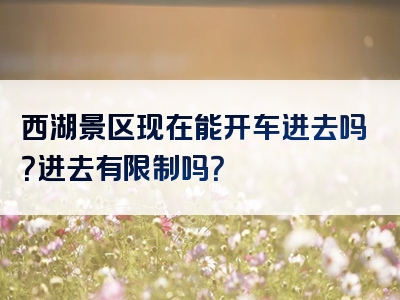 西湖景区现在能开车进去吗？进去有限制吗？
