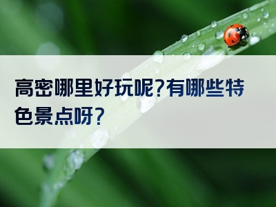 高密哪里好玩呢？有哪些特色景点呀？