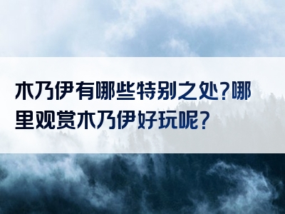 木乃伊有哪些特别之处？哪里观赏木乃伊好玩呢？