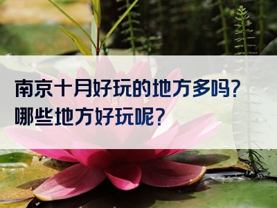 南京十月好玩的地方多吗？哪些地方好玩呢？