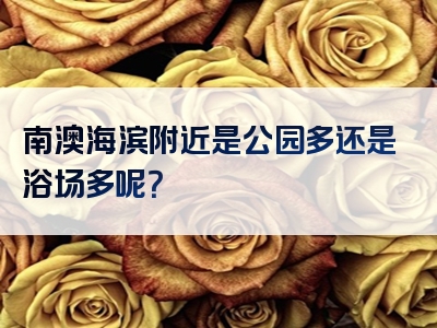 南澳海滨附近是公园多还是浴场多呢？
