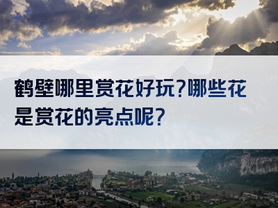 鹤壁哪里赏花好玩？哪些花是赏花的亮点呢？