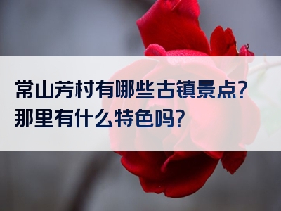 常山芳村有哪些古镇景点？那里有什么特色吗？