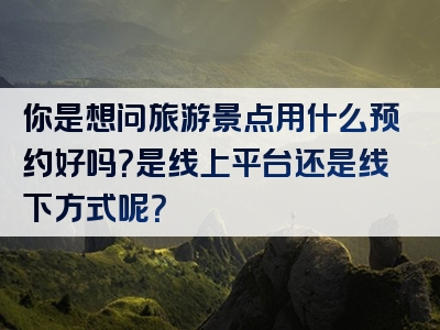 你是想问旅游景点用什么预约好吗？是线上平台还是线下方式呢？
