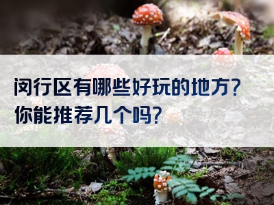 闵行区有哪些好玩的地方？你能推荐几个吗？