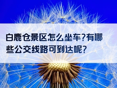 白鹿仓景区怎么坐车？有哪些公交线路可到达呢？