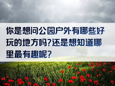 你是想问公园户外有哪些好玩的地方吗？还是想知道哪里最有趣呢？