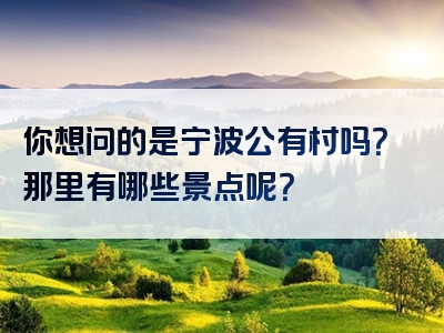 你想问的是宁波公有村吗？那里有哪些景点呢？