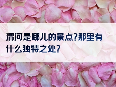 渭河是哪儿的景点？那里有什么独特之处？