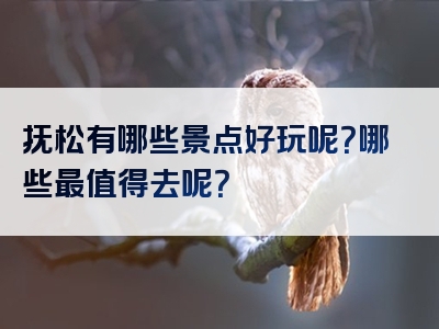 抚松有哪些景点好玩呢？哪些最值得去呢？
