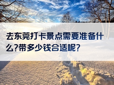 去东莞打卡景点需要准备什么？带多少钱合适呢？
