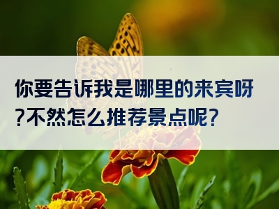 你要告诉我是哪里的来宾呀？不然怎么推荐景点呢？