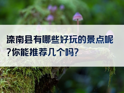 滦南县有哪些好玩的景点呢？你能推荐几个吗？