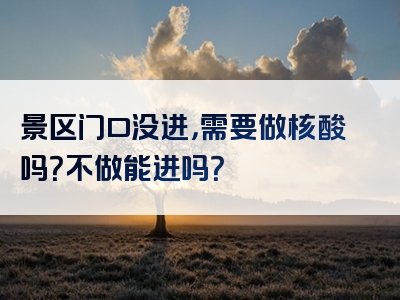 景区门口没进，需要做核酸吗？不做能进吗？