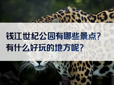 钱江世纪公园有哪些景点？有什么好玩的地方呢？