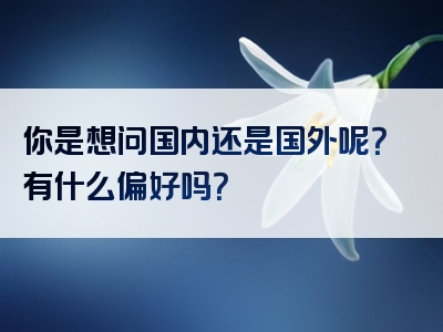 你是想问国内还是国外呢？有什么偏好吗？