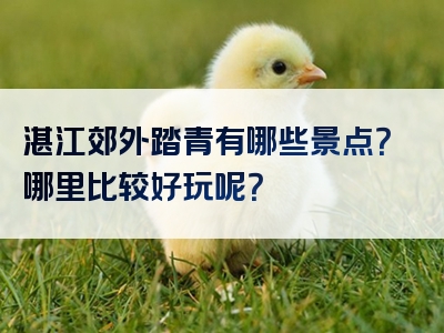 湛江郊外踏青有哪些景点？哪里比较好玩呢？