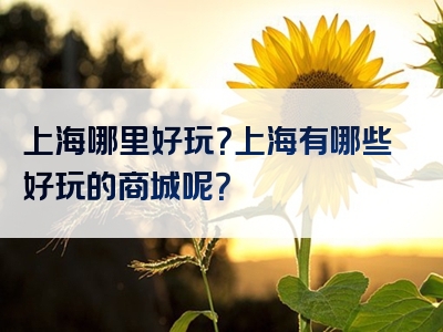 上海哪里好玩？上海有哪些好玩的商城呢？