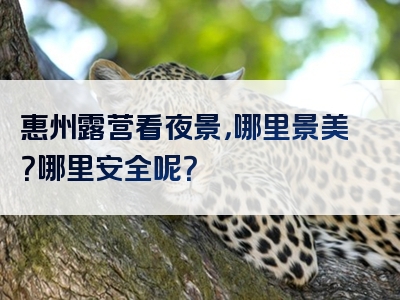 惠州露营看夜景，哪里景美？哪里安全呢？