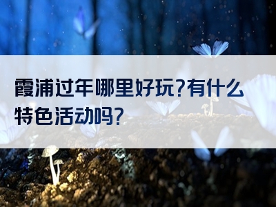 霞浦过年哪里好玩？有什么特色活动吗？
