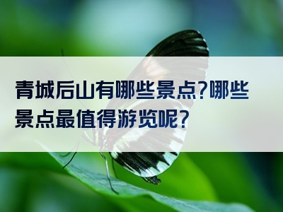 青城后山有哪些景点？哪些景点最值得游览呢？