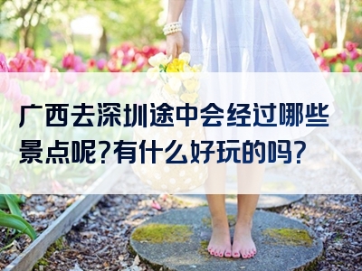 广西去深圳途中会经过哪些景点呢？有什么好玩的吗？