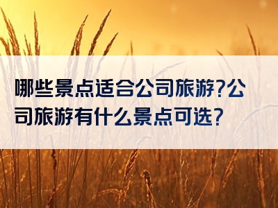 哪些景点适合公司旅游？公司旅游有什么景点可选？