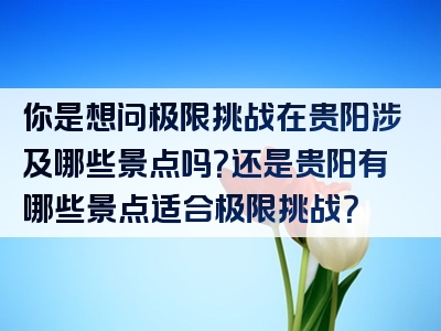 你是想问极限挑战在贵阳涉及哪些景点吗？还是贵阳有哪些景点适合极限挑战？