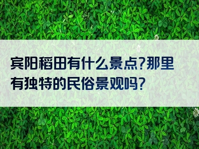 宾阳稻田有什么景点？那里有独特的民俗景观吗？