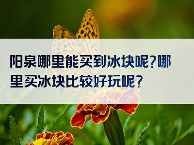 阳泉哪里能买到冰块呢？哪里买冰块比较好玩呢？
