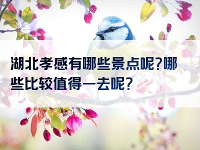 湖北孝感有哪些景点呢？哪些比较值得一去呢？