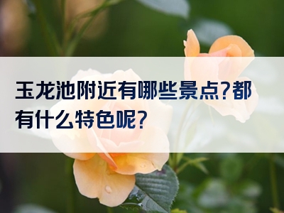 玉龙池附近有哪些景点？都有什么特色呢？