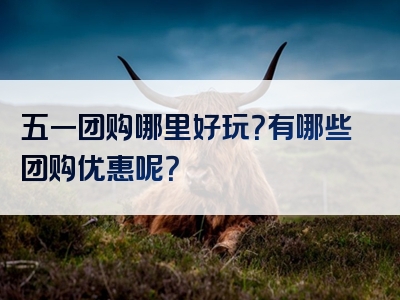 五一团购哪里好玩？有哪些团购优惠呢？