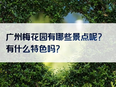 广州梅花园有哪些景点呢？有什么特色吗？