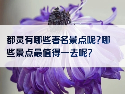 都灵有哪些著名景点呢？哪些景点最值得一去呢？