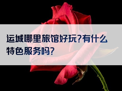 运城哪里旅馆好玩？有什么特色服务吗？