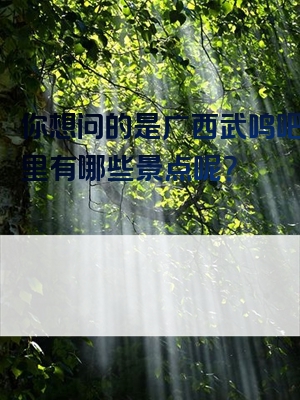 你想问的是广西武鸣吧？那里有哪些景点呢？