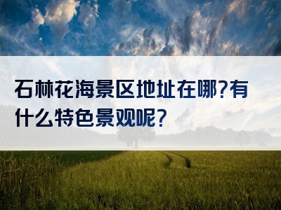 石林花海景区地址在哪？有什么特色景观呢？