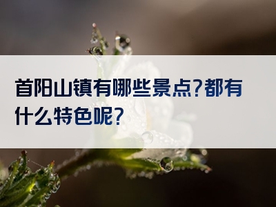 首阳山镇有哪些景点？都有什么特色呢？