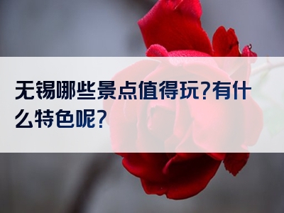 无锡哪些景点值得玩？有什么特色呢？
