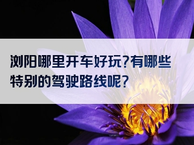 浏阳哪里开车好玩？有哪些特别的驾驶路线呢？