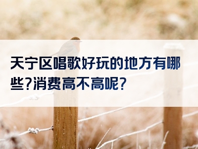 天宁区唱歌好玩的地方有哪些？消费高不高呢？