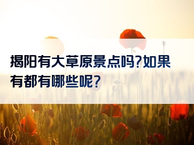 揭阳有大草原景点吗？如果有都有哪些呢？