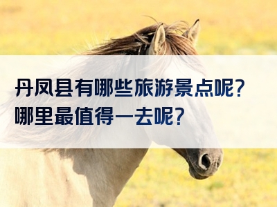 丹凤县有哪些旅游景点呢？哪里最值得一去呢？