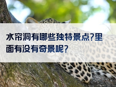 水帘洞有哪些独特景点？里面有没有奇景呢？