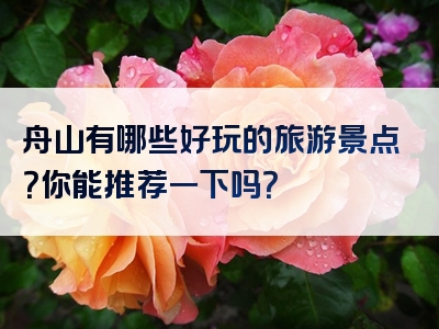 舟山有哪些好玩的旅游景点？你能推荐一下吗？