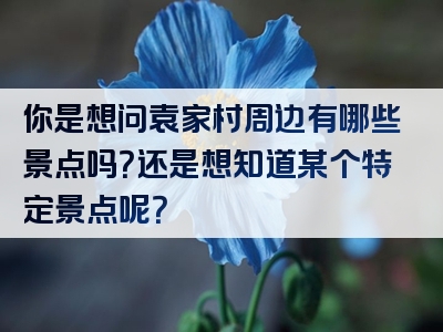 你是想问袁家村周边有哪些景点吗？还是想知道某个特定景点呢？