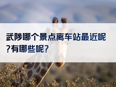武陟哪个景点离车站最近呢？有哪些呢？
